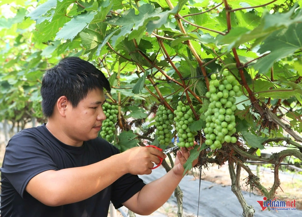 W-anh tin 9 109708.jpg