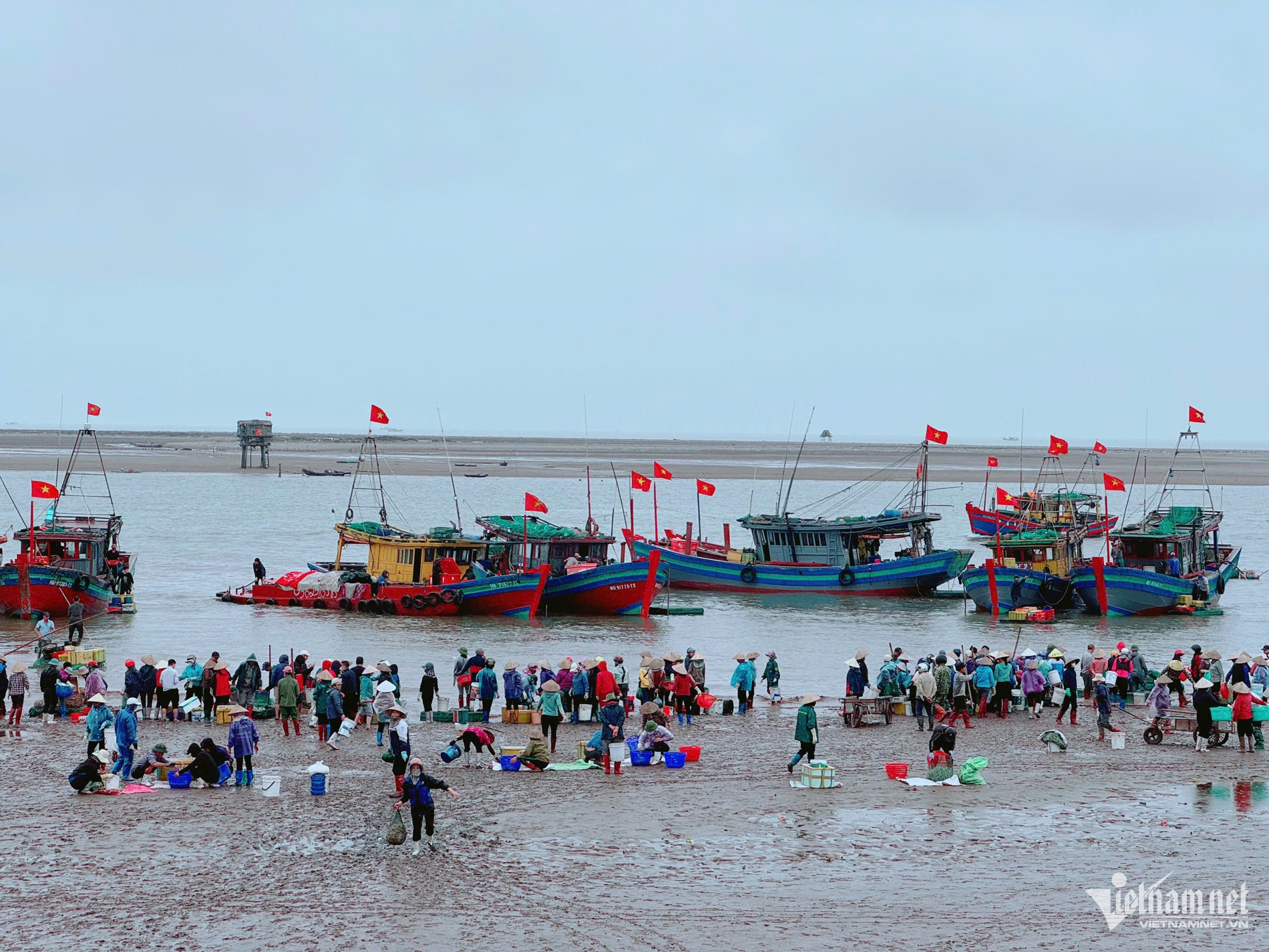 W-chợ cá Giao Hải 0.jpg