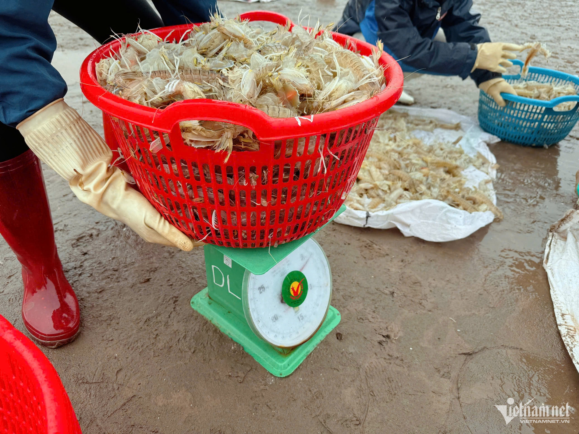 W-chợ cá Giao Hải 5.jpg