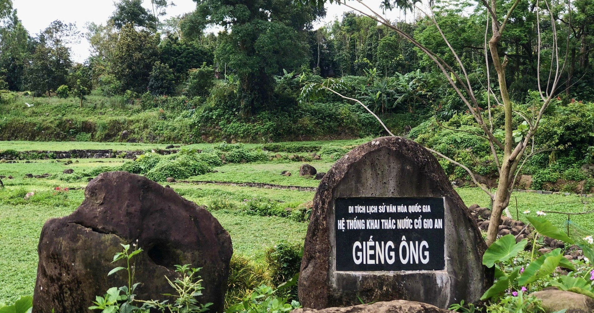 Điểm đến ở Quảng Trị có 14 giếng cổ, nổi tiếng với đặc sản vừa sạch vừa ngon