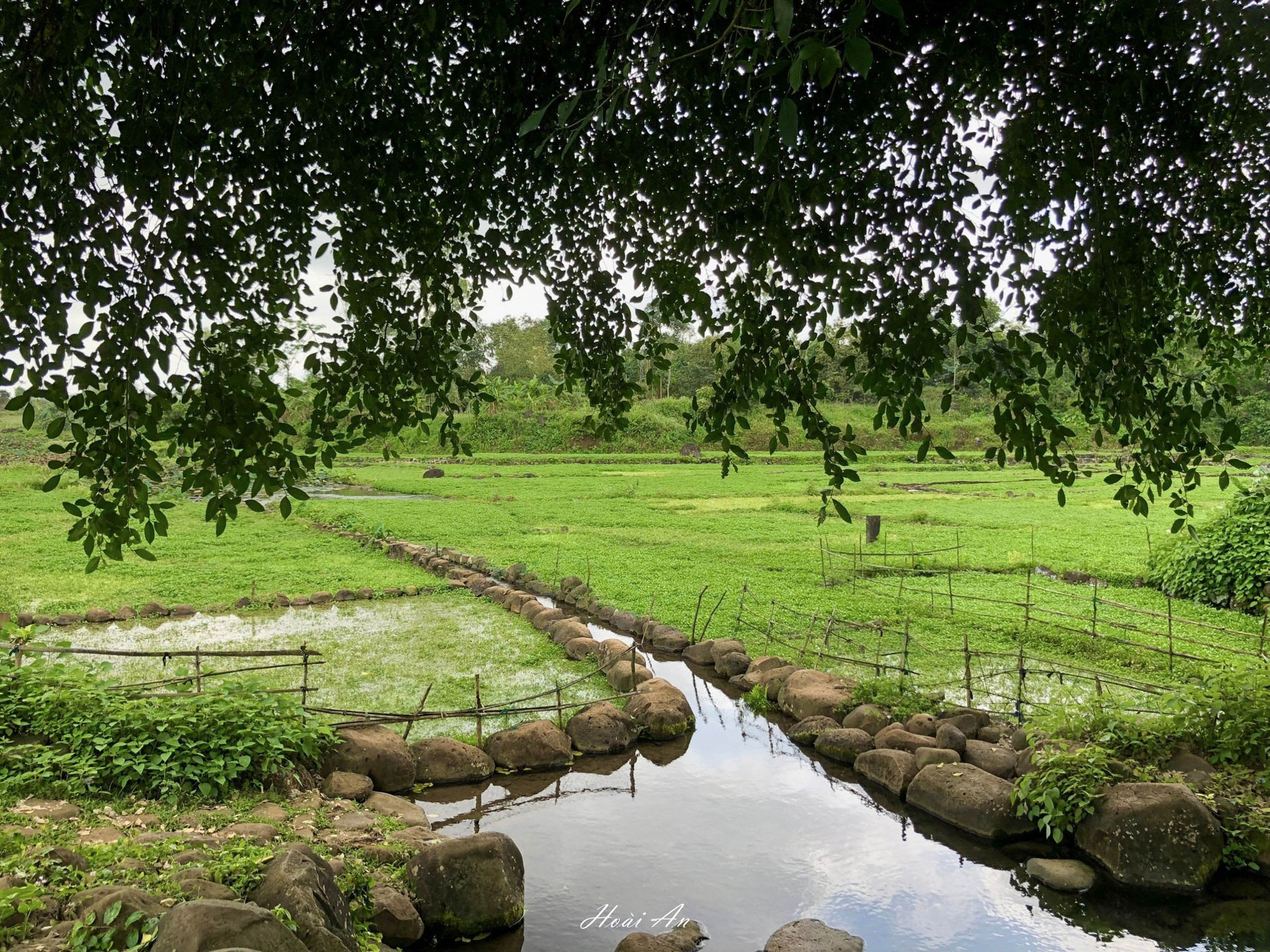 Giếng cổ Gio An 0.jpg