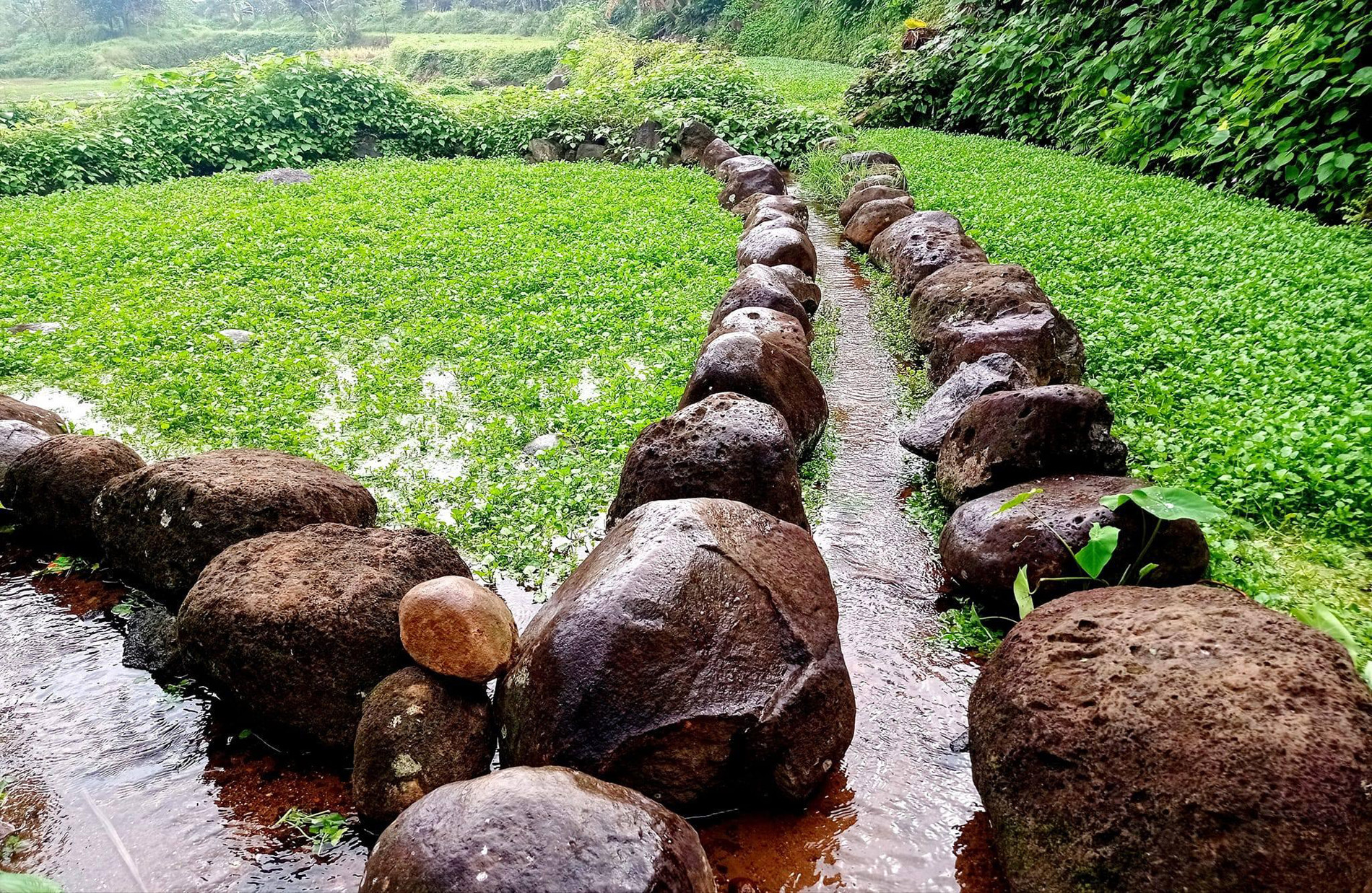 Giếng cổ Gio An 5.jpg