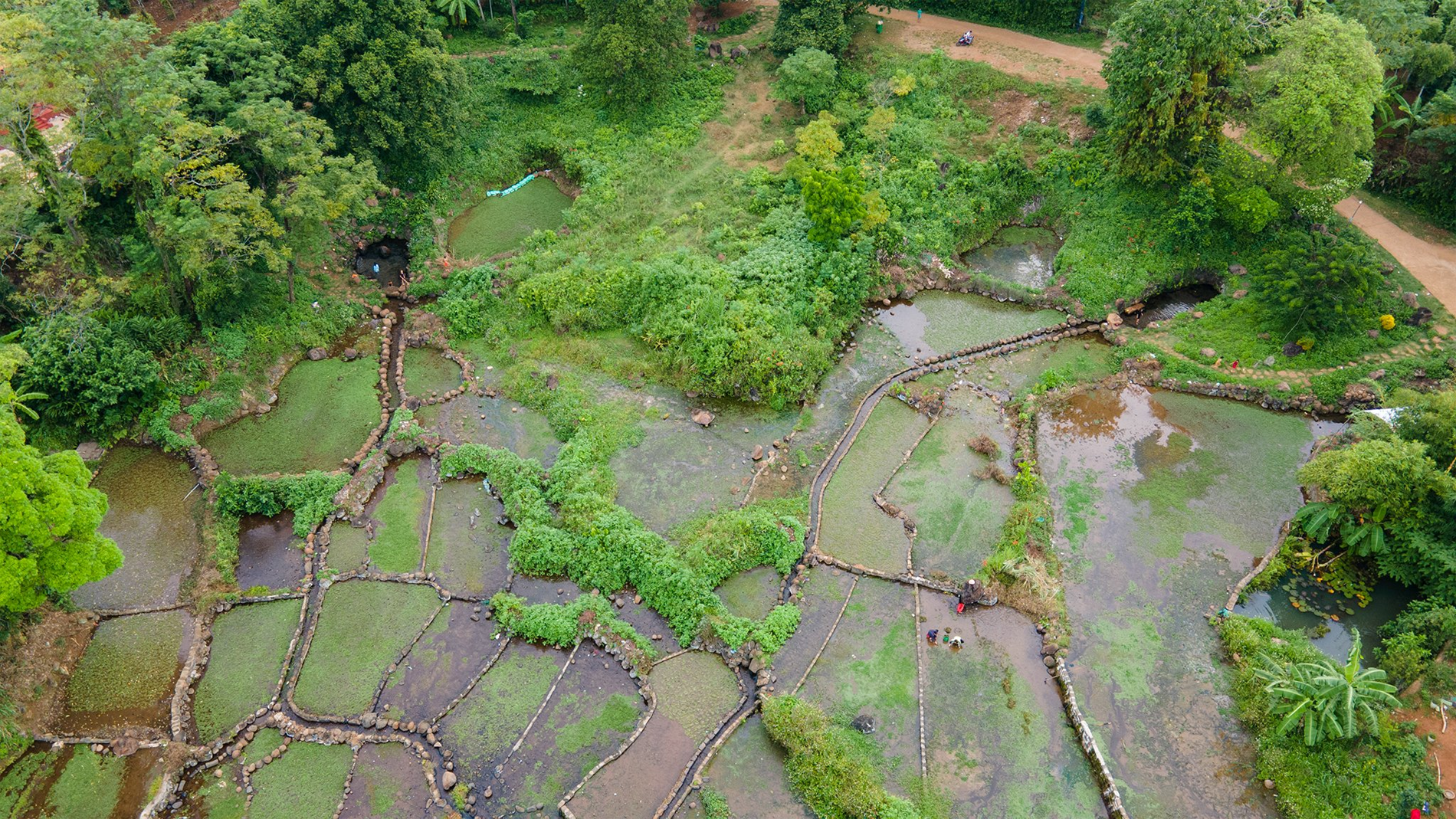 giếng cổ   Võ Văn Thanh 1.png