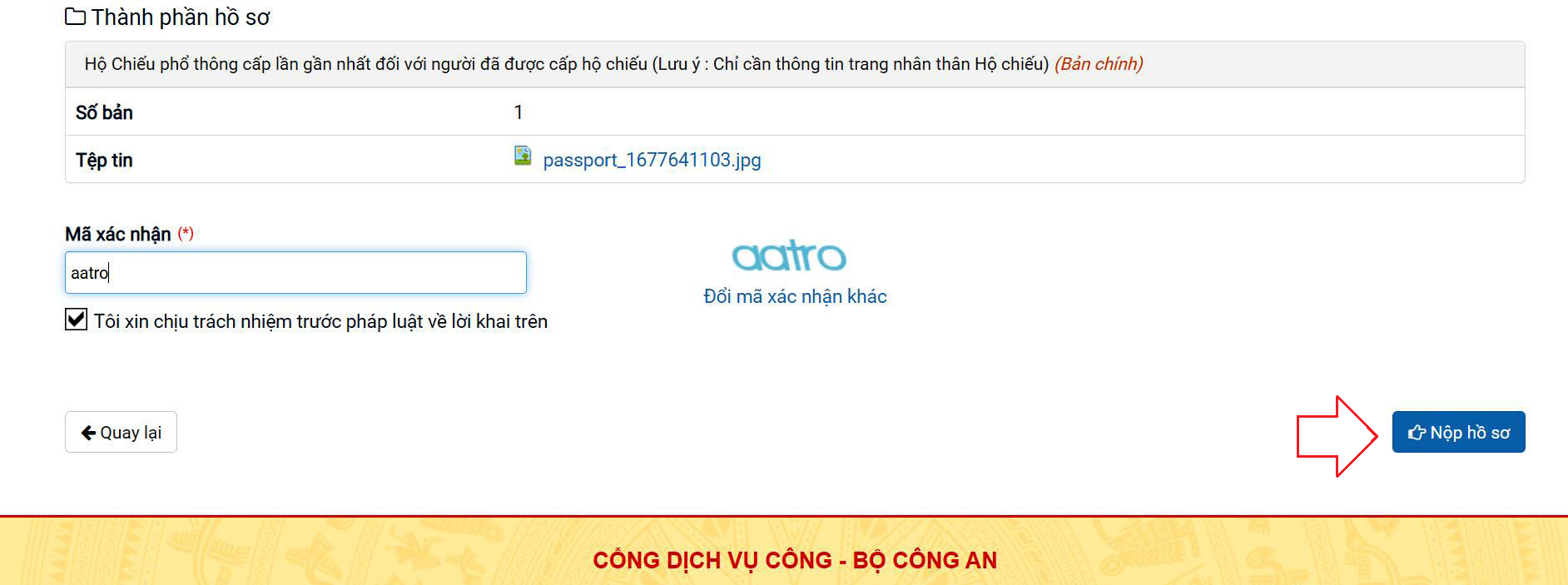 ho chieu gan chip 11 1089.png