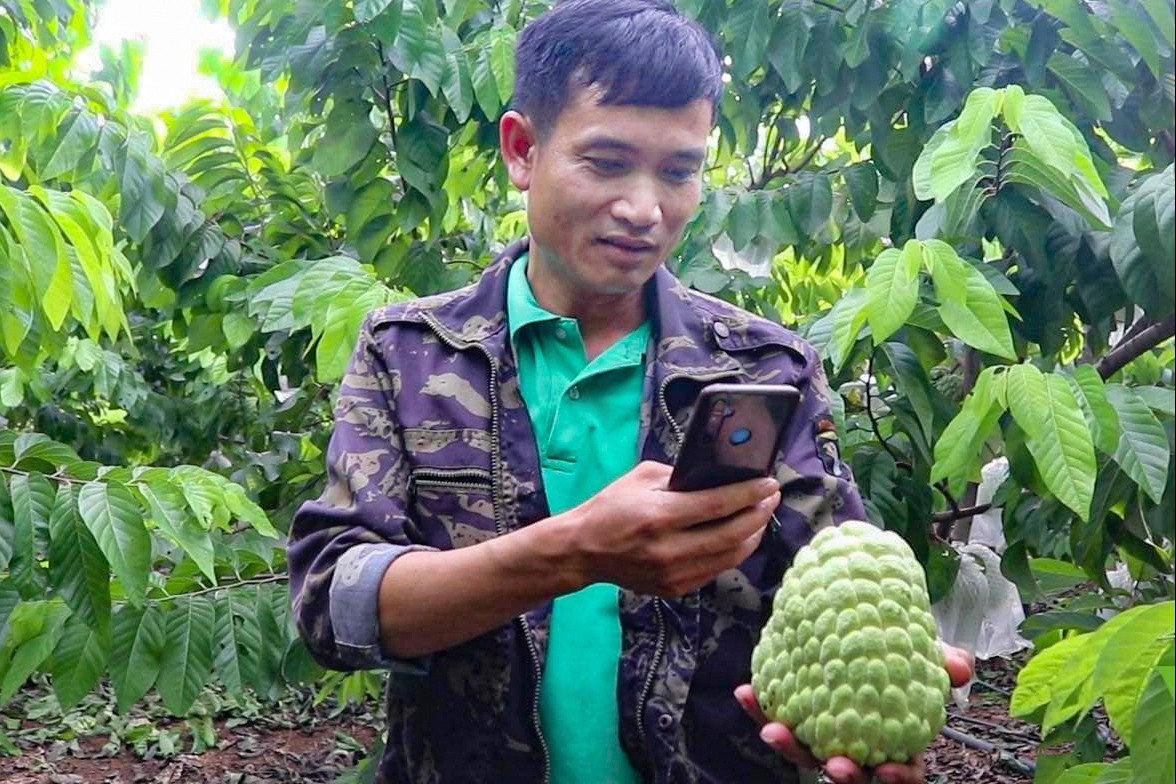 Rủ nhau làm ăn lớn, nông dân bản vùng cao Mé Lếch đua nhau ôm về tiền tỷ