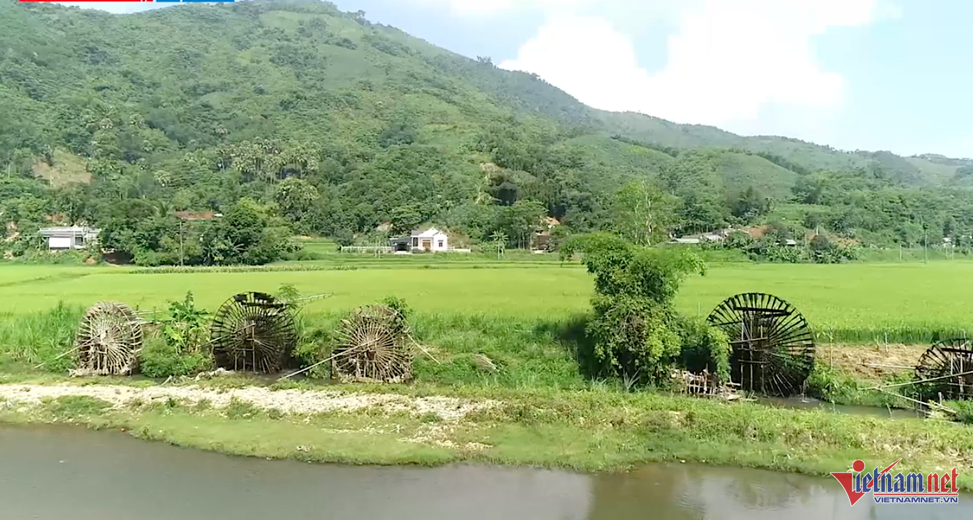 W-anhconnuoc 561.png