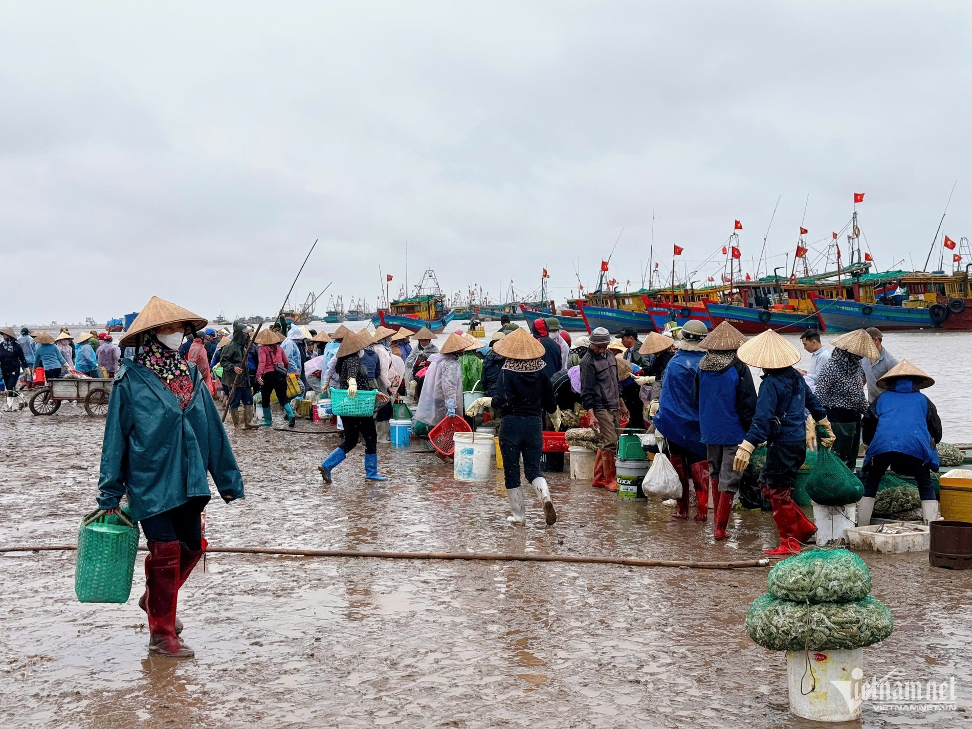 w cho ca giao hai 11 116493.jpg