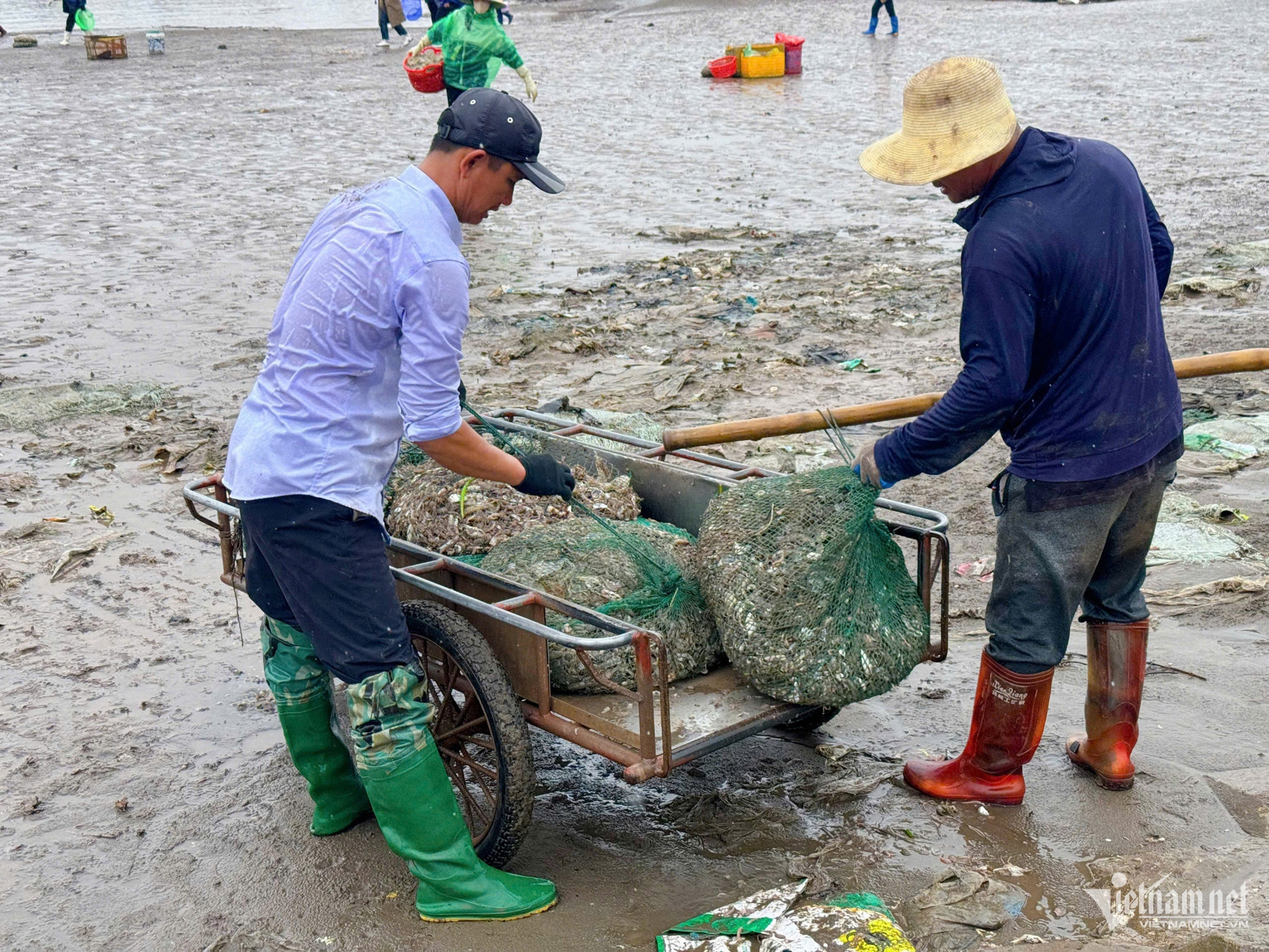 w cho ca giao hai 19 116505.jpg