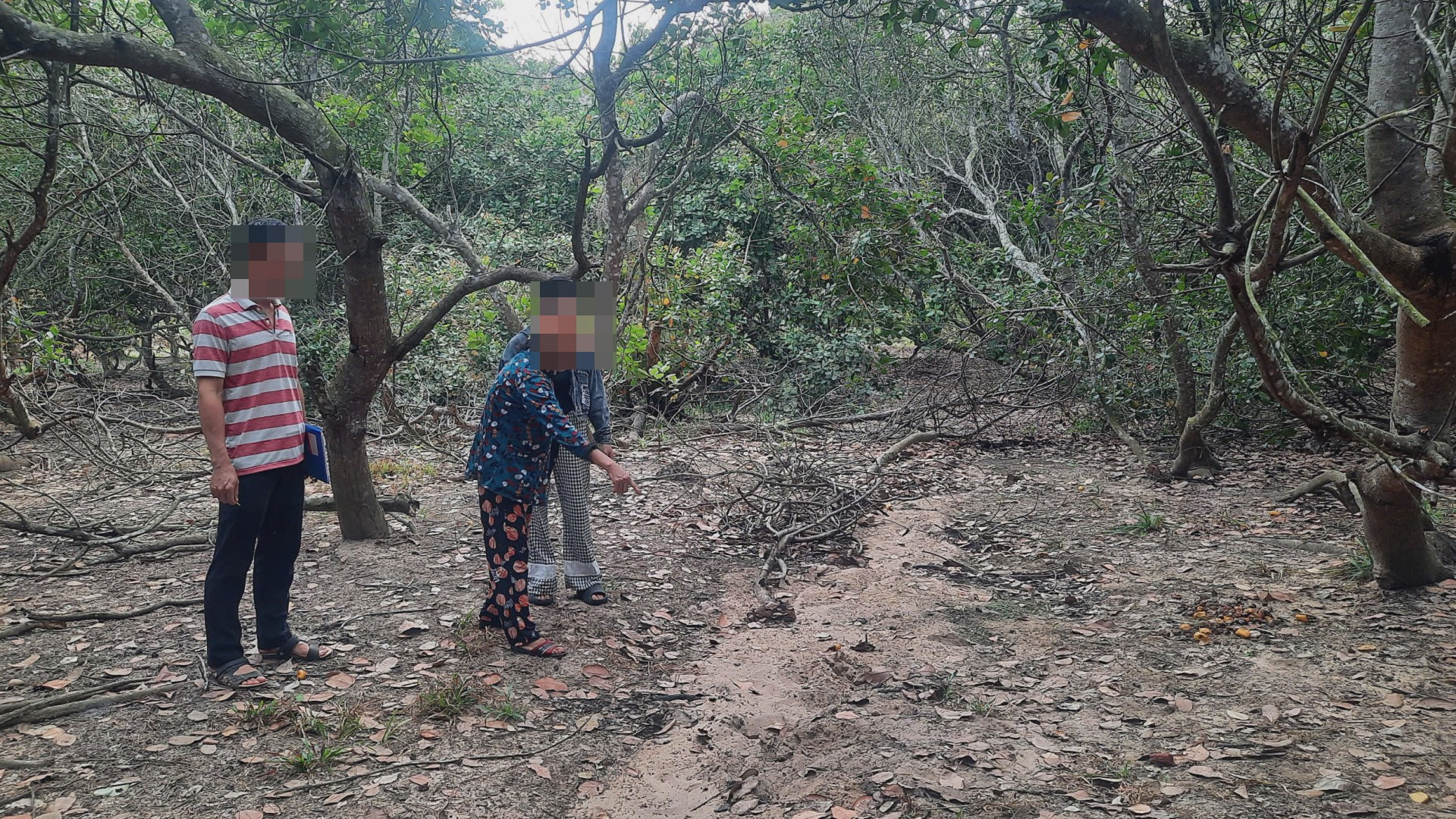 2025 04 12.11 23 26.jpg