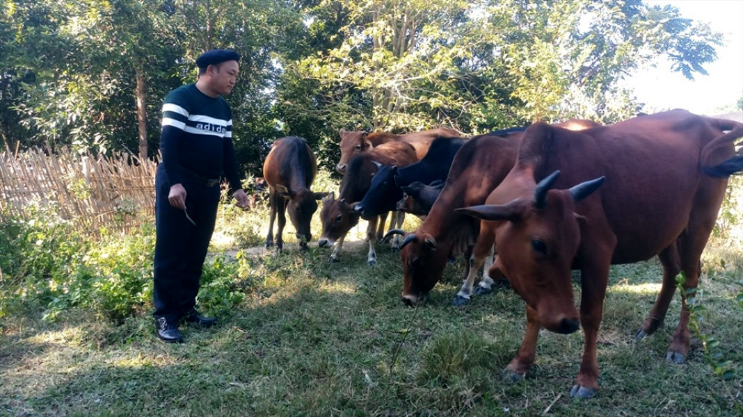 a1Bí thư chi bộ vượt khó làm giàu.jpg