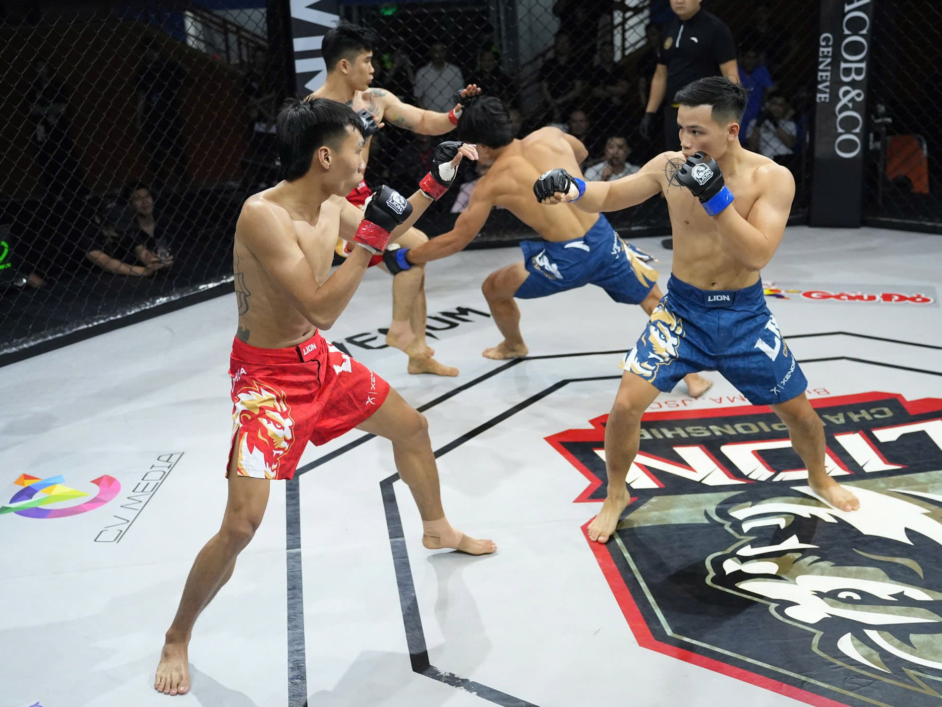 mma viet nam 1.jpg