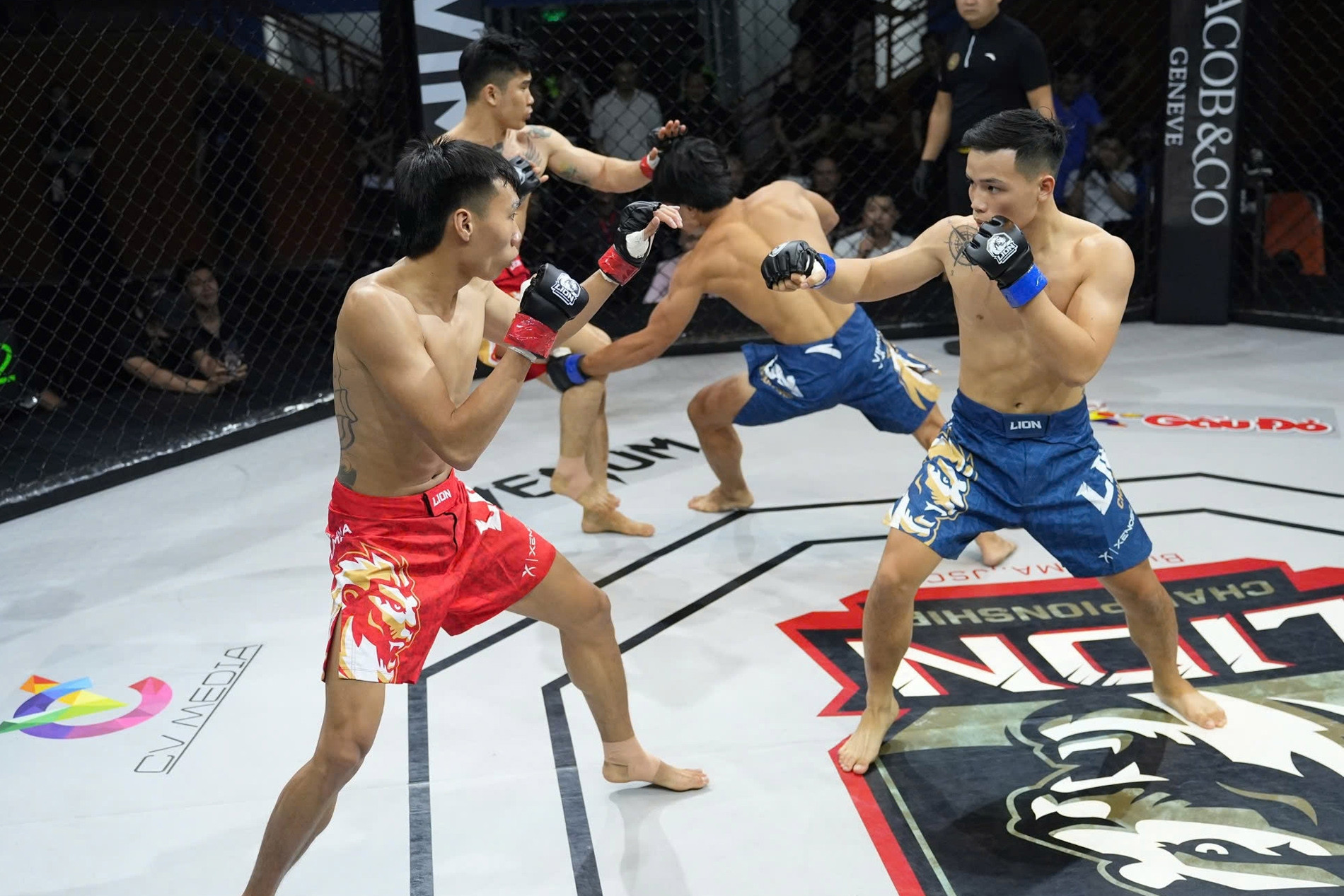Nhà vô địch SEA Games đấu nội dung 'lạ' ở giải MMA Việt Nam