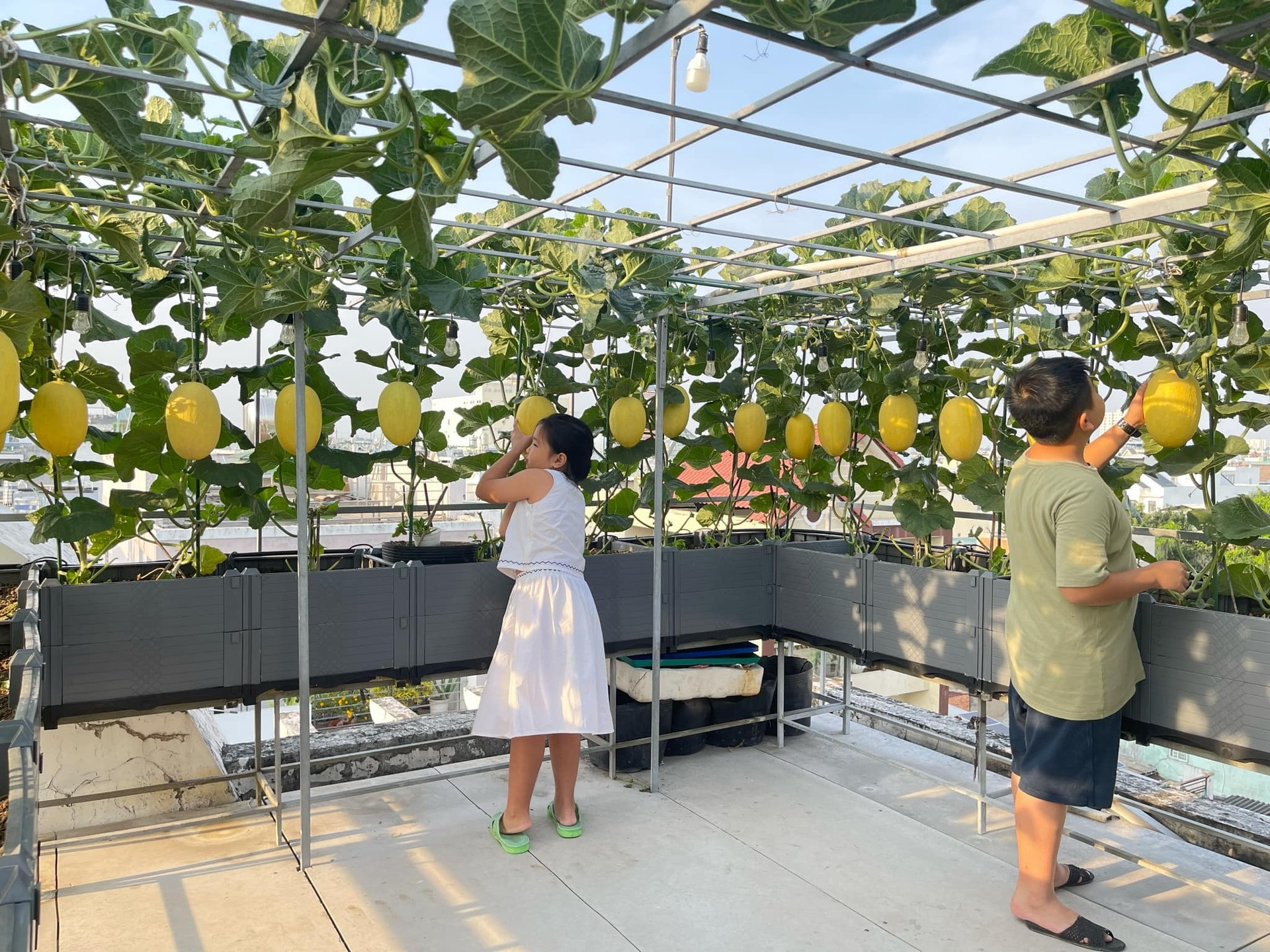 0b6bdc00 8694 406b bfc4 6496d1947096.jpeg