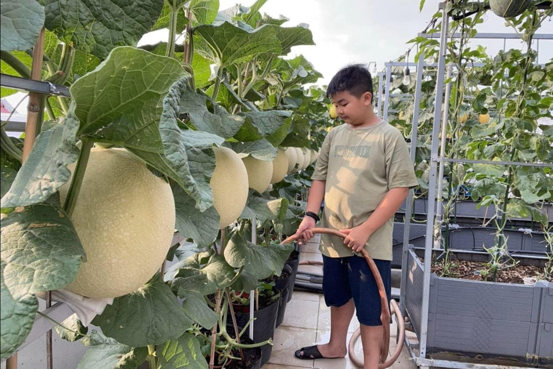 ae2ab5c9 8051 4ee4 a0c8 6c4321ddf048.jpeg