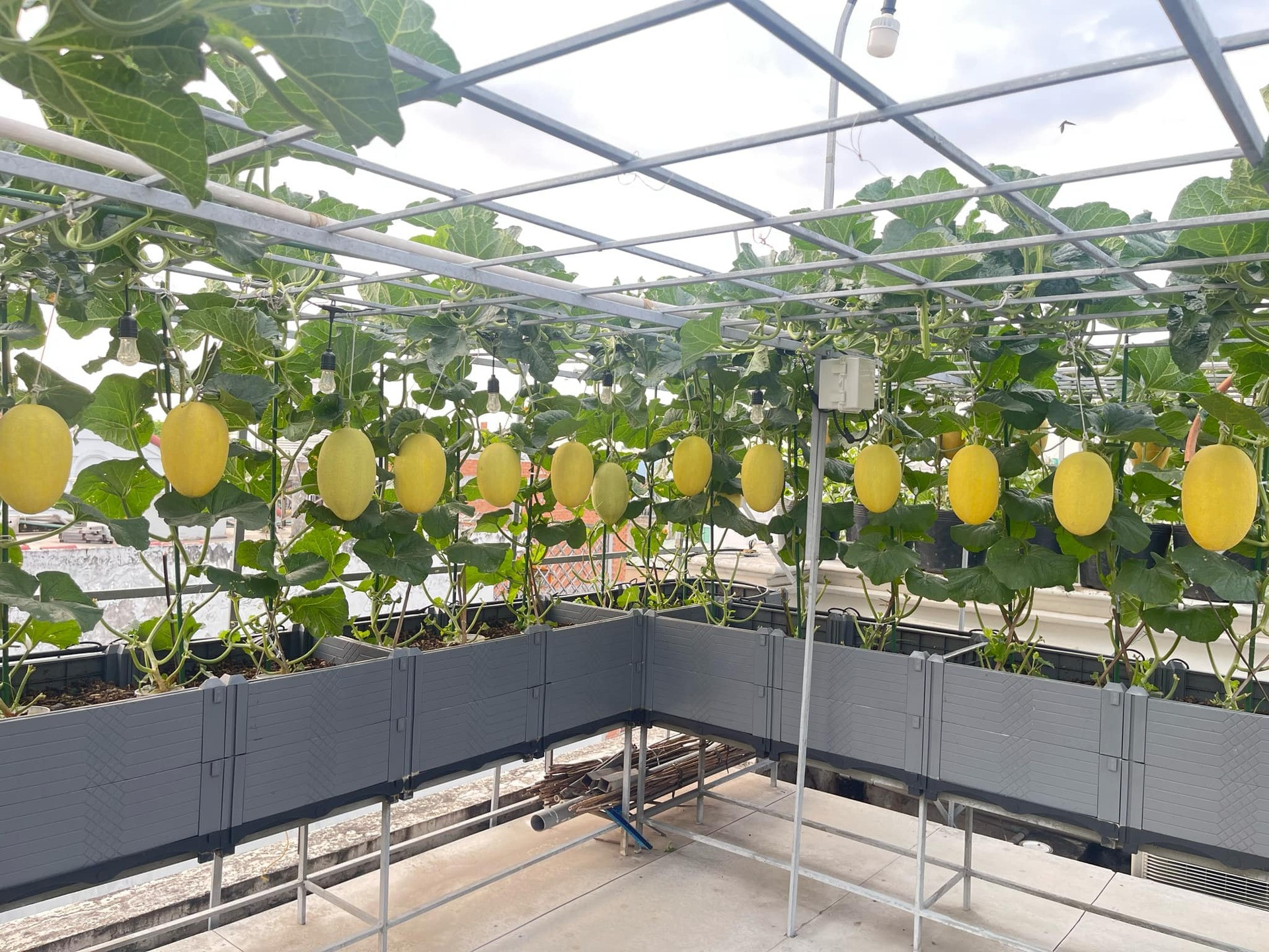 ec7f0319 3c58 46bb b6af 446673ff0eb8.jpeg