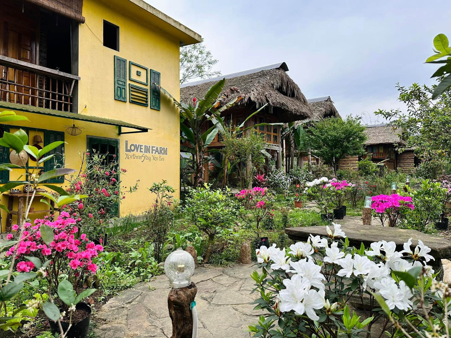farmstay xới 2.JPG