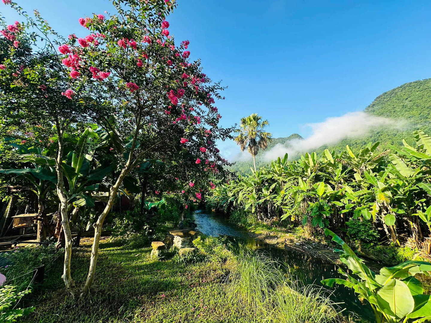 farmstay xới 3.JPG