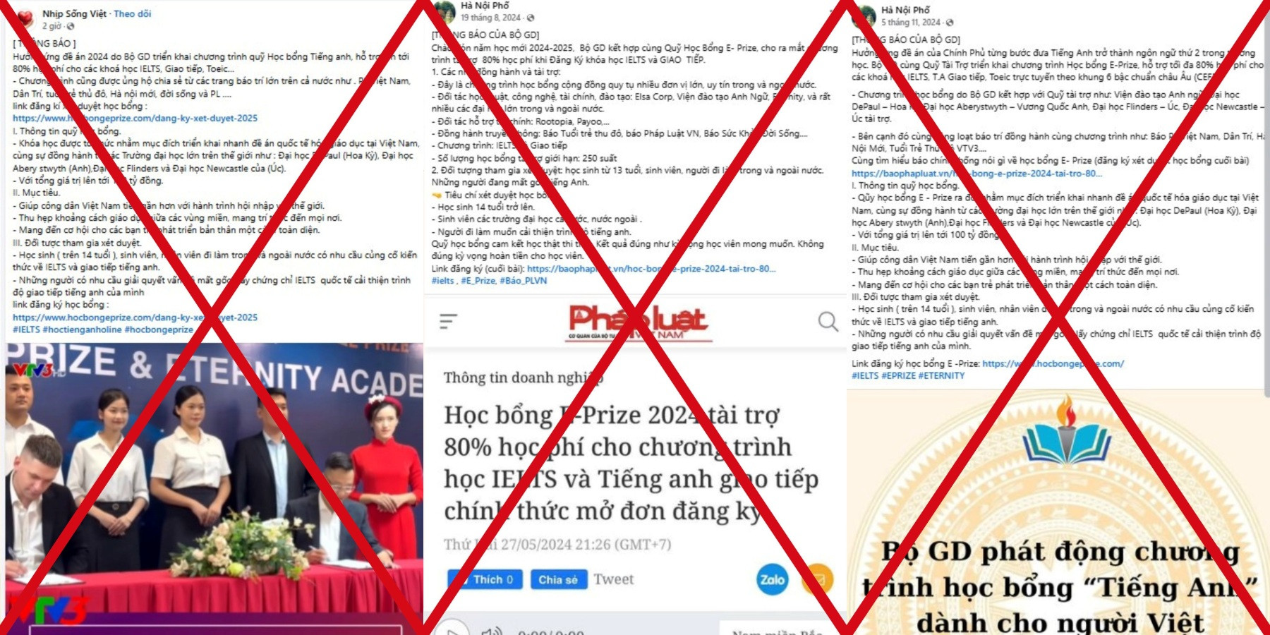 Gia Mao Anh Trong Bai.jpg