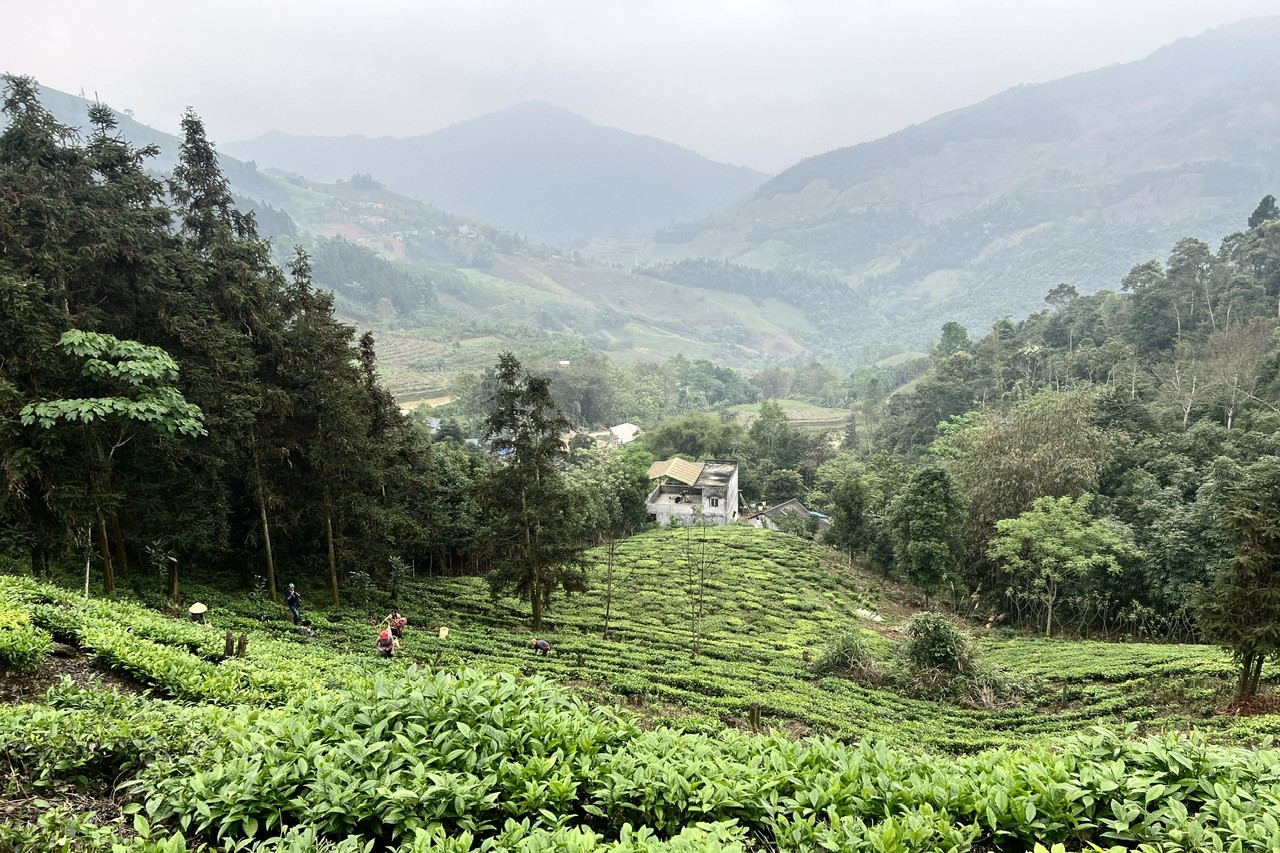 Học sinh, sinh viên dân tộc thiểu số ở những khu vực nào được giảm 70% học phí?