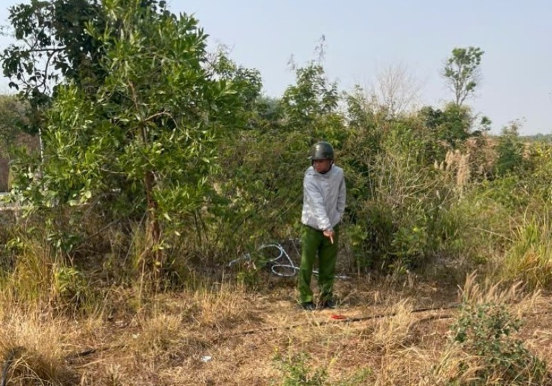 Cắt trộm dây điện 2.jpg