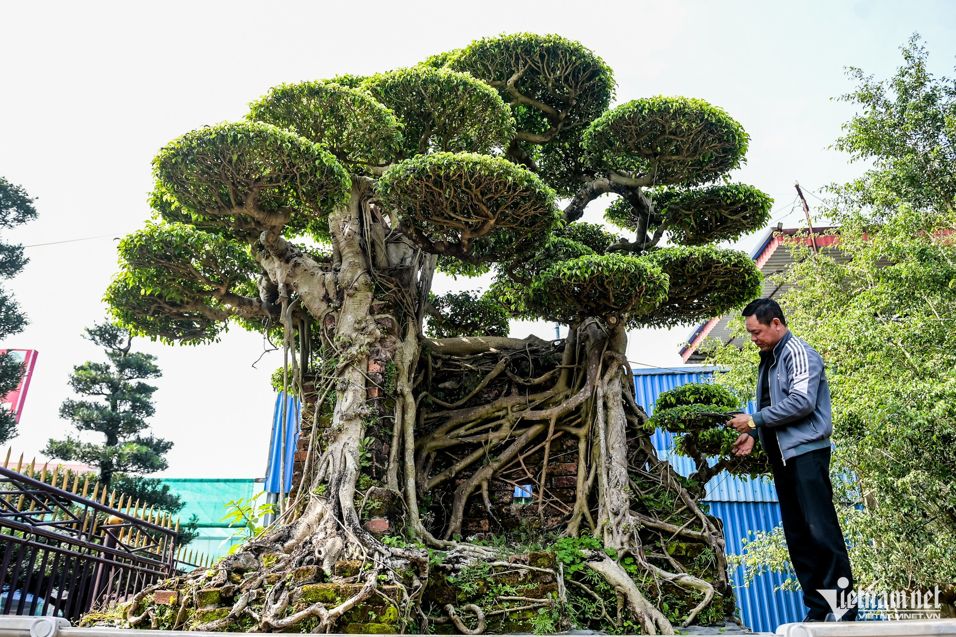 W-Nam Định Sáp nhập_2.jpg