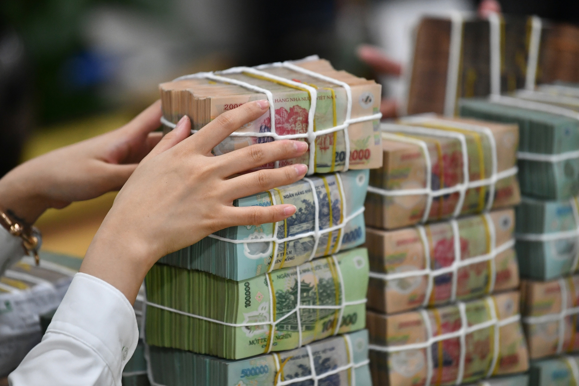 Nâng quy mô gói tín dụng lĩnh vực lâm, thuỷ sản lên 100.000 tỷ đồng