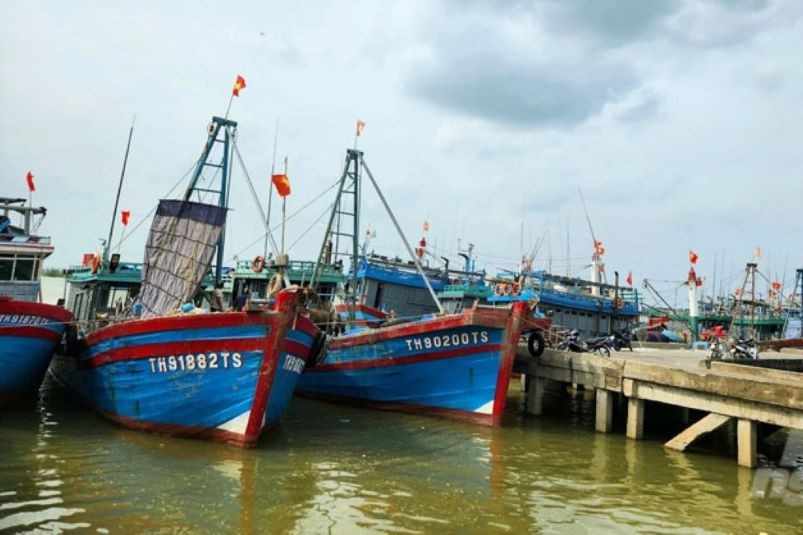 Thanh Hóa phấn đấu khai thác trên 130 nghìn tấn thủy sản trong năm 2025