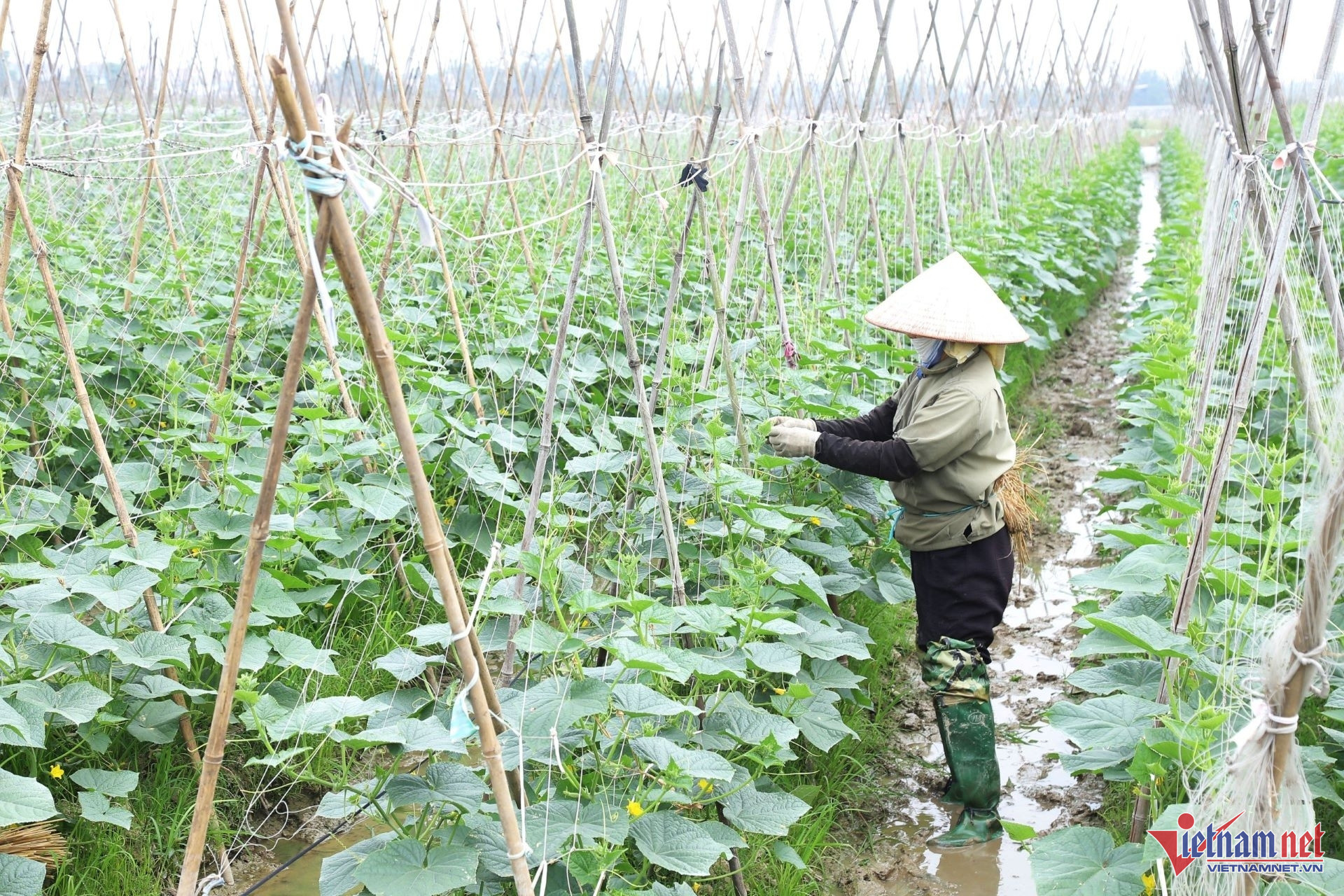 W-anh bai 3 chuan 1200.jpg