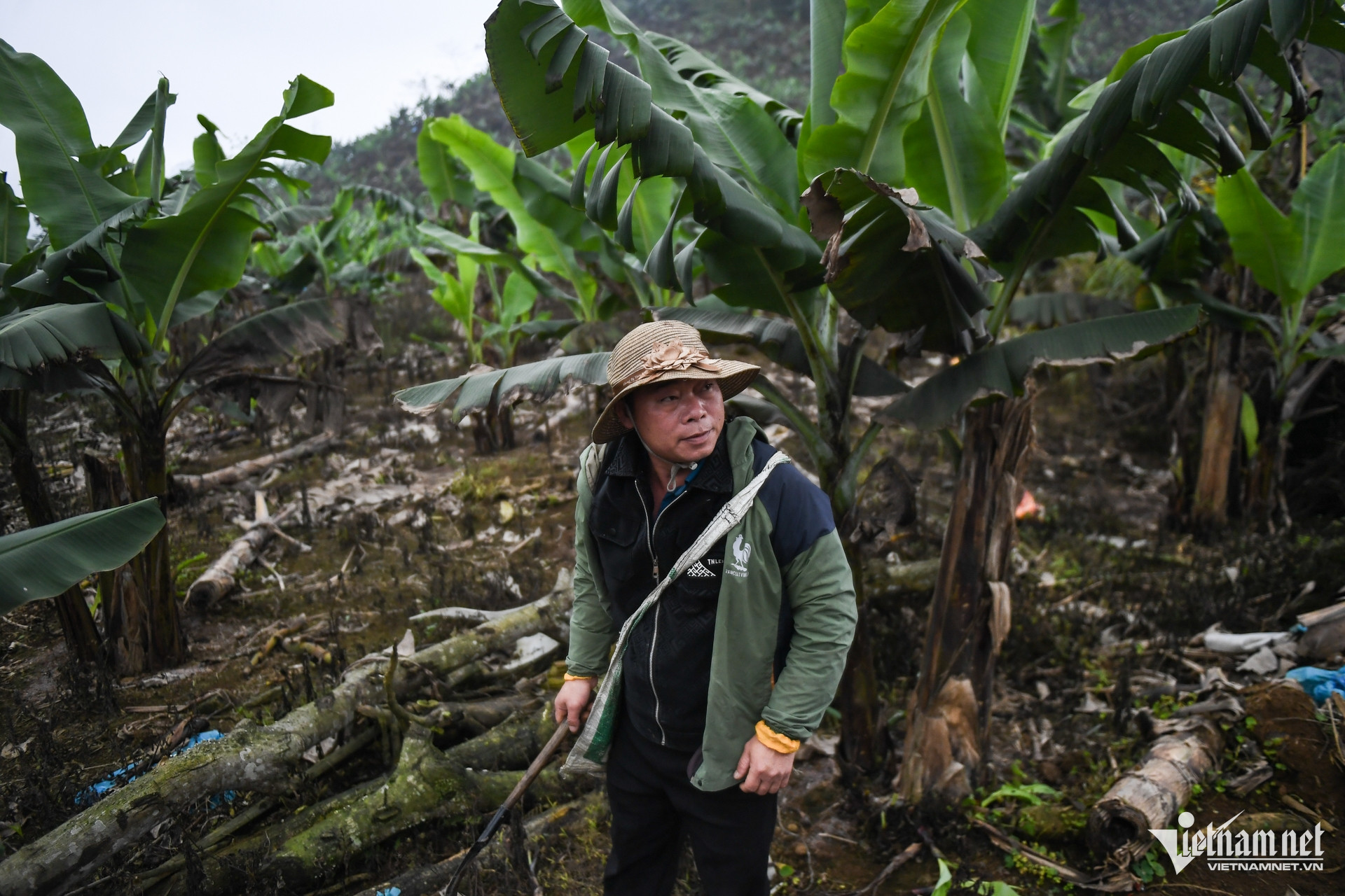 W-dan toc thieu so   lao cai.jpg