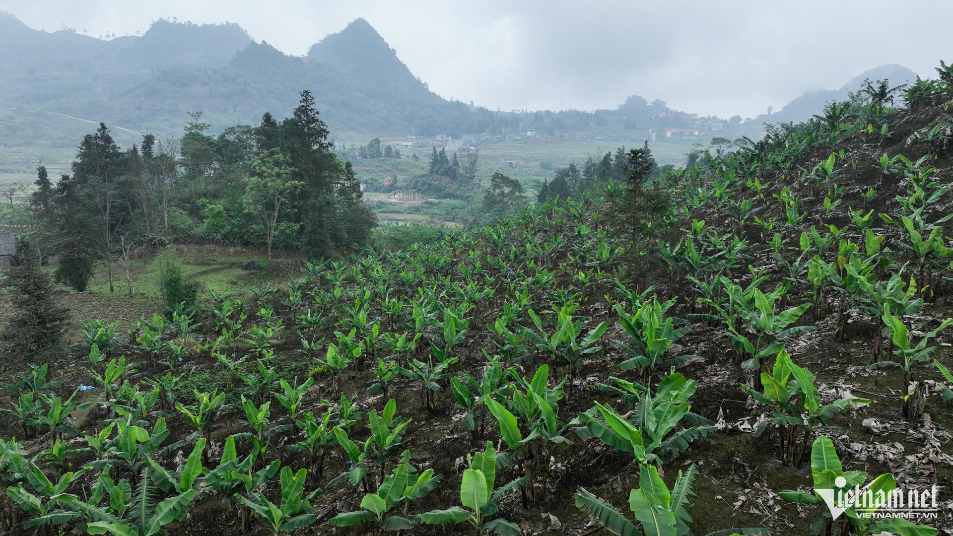 W-dan toc thieu so   lao cai 6.jpg