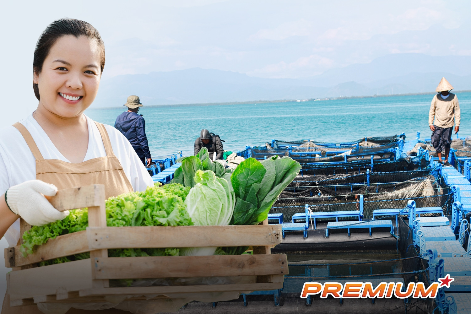 Triển khai gói tín dụng 100.000 tỷ đồng cho doanh nghiệp nông, lâm, thủy sản