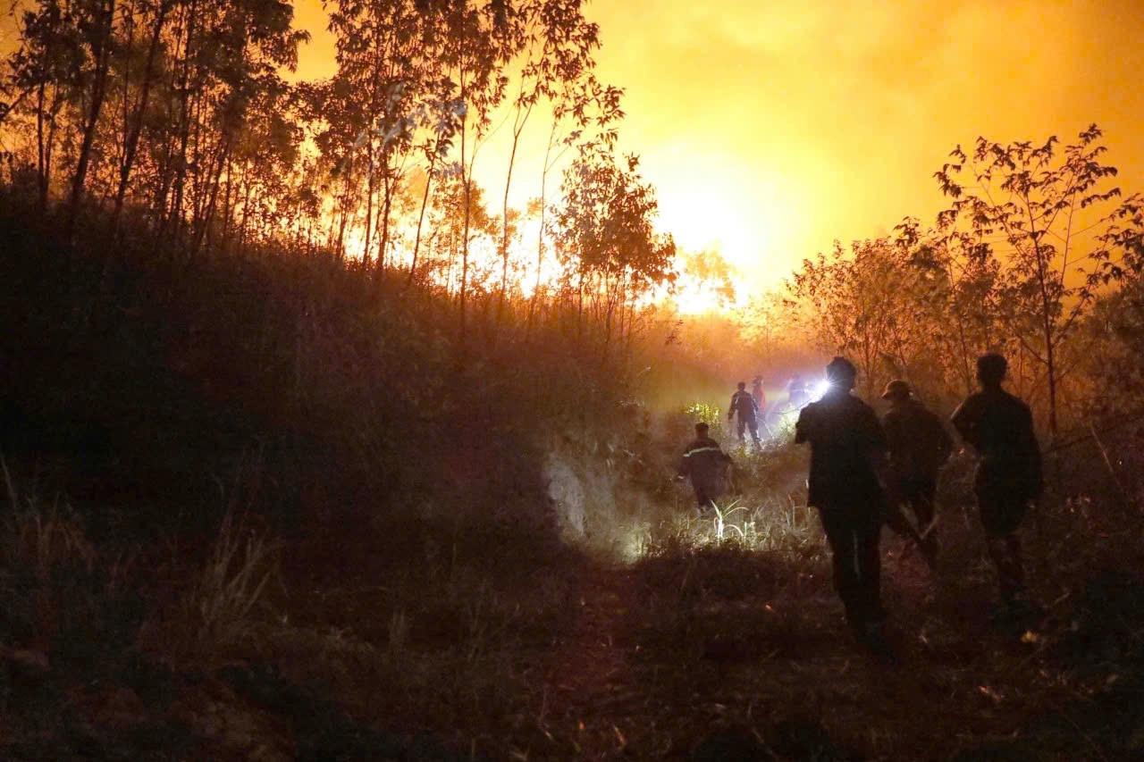 Vĩnh Phúc: 30ha rừng ở Tam Đảo bị thiêu rụi