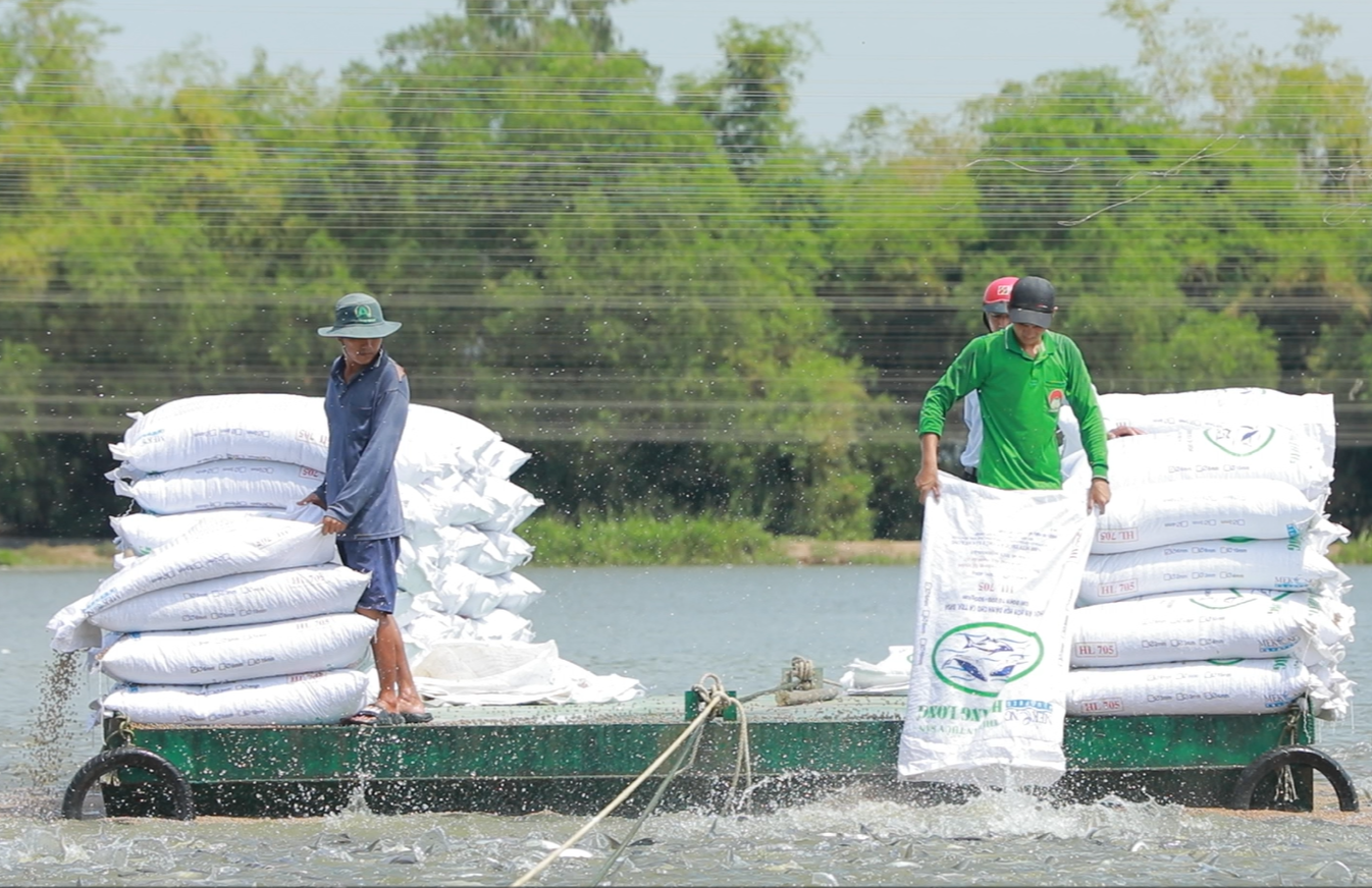 Ảnh 1 lâm thủy sản (1).png