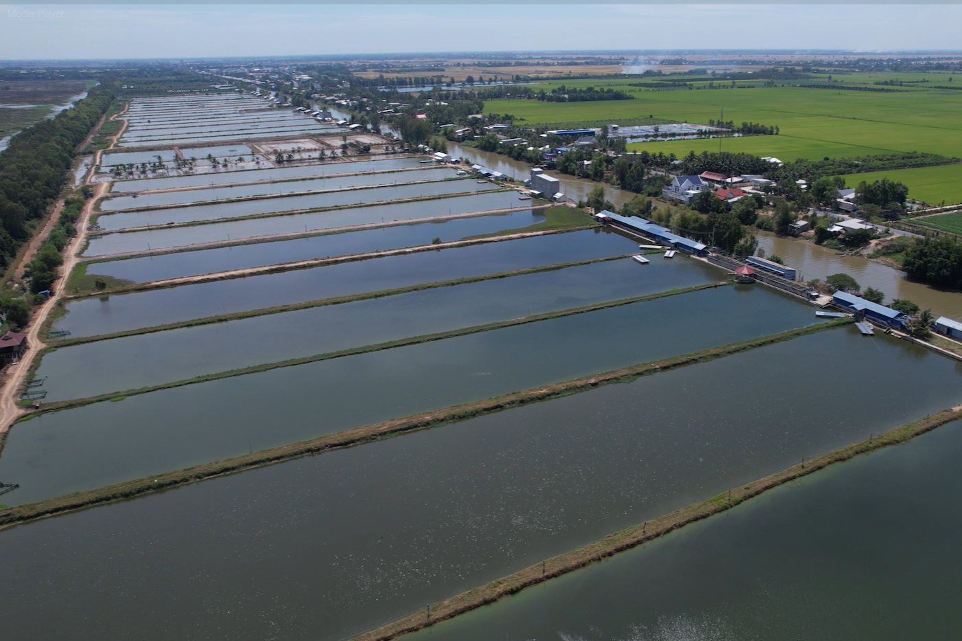 Ảnh 2 lâm thủy sản (1).png