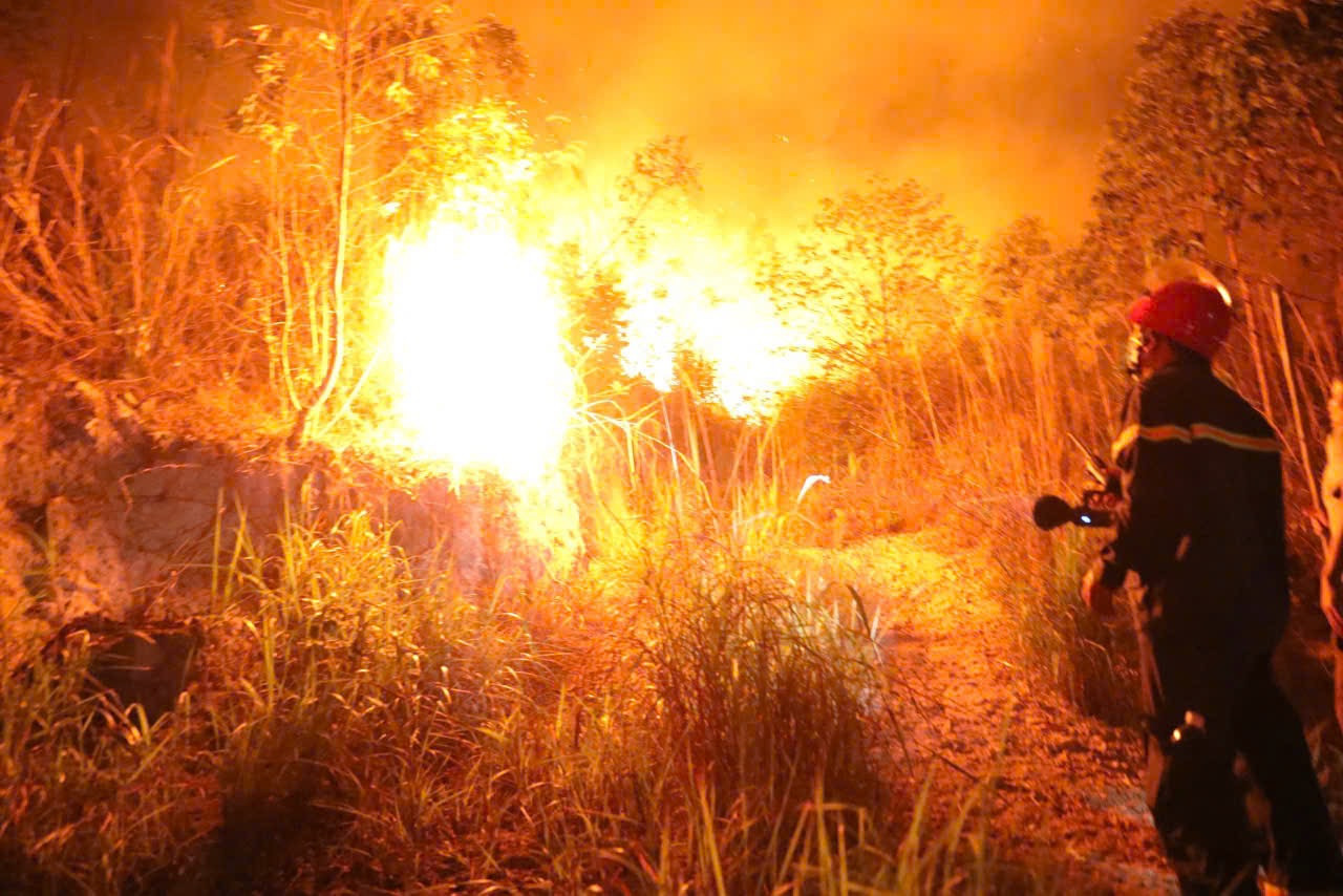 chay rừng khanh linh .jpeg