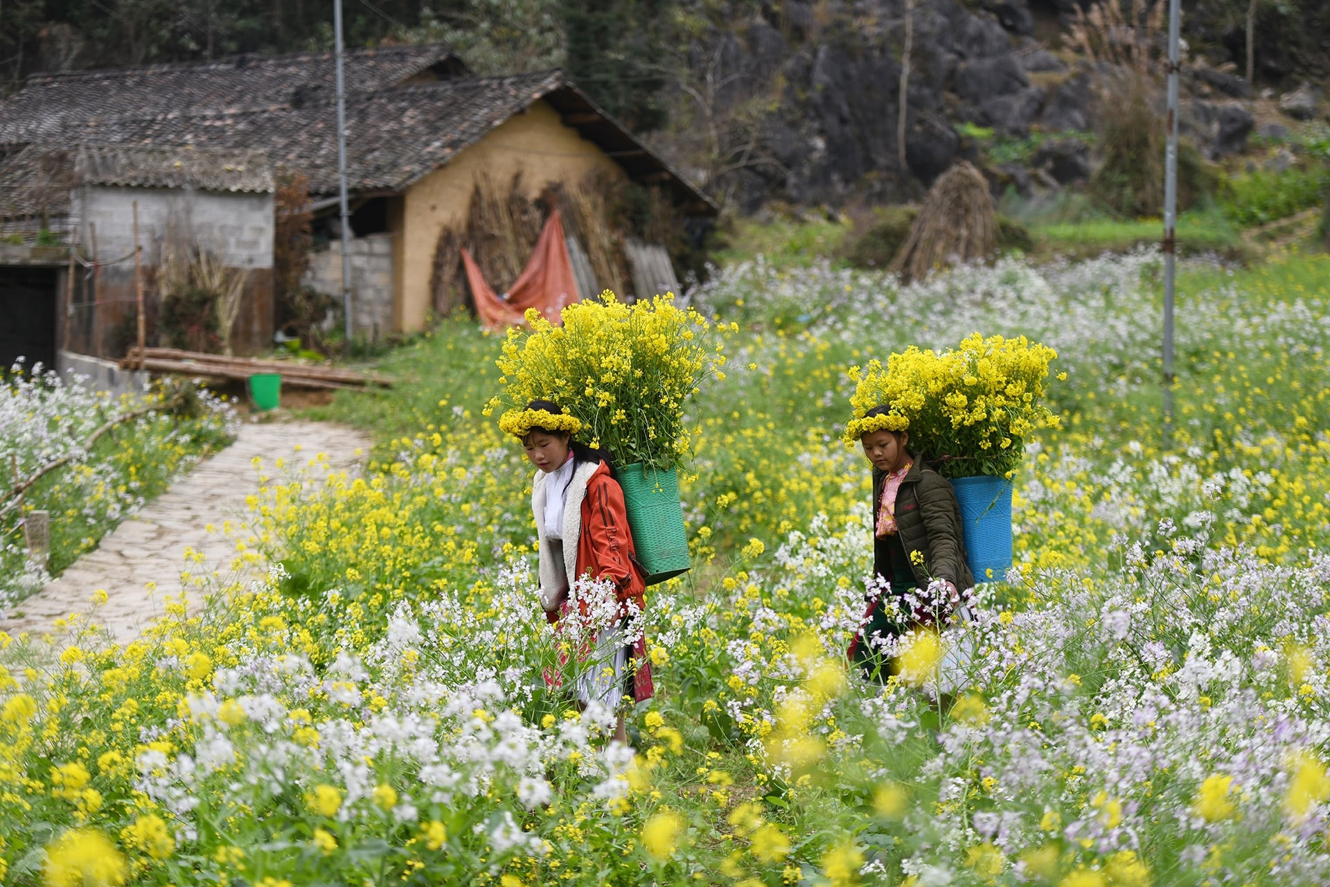 Tên gọi quê nhà tha thiết lắm