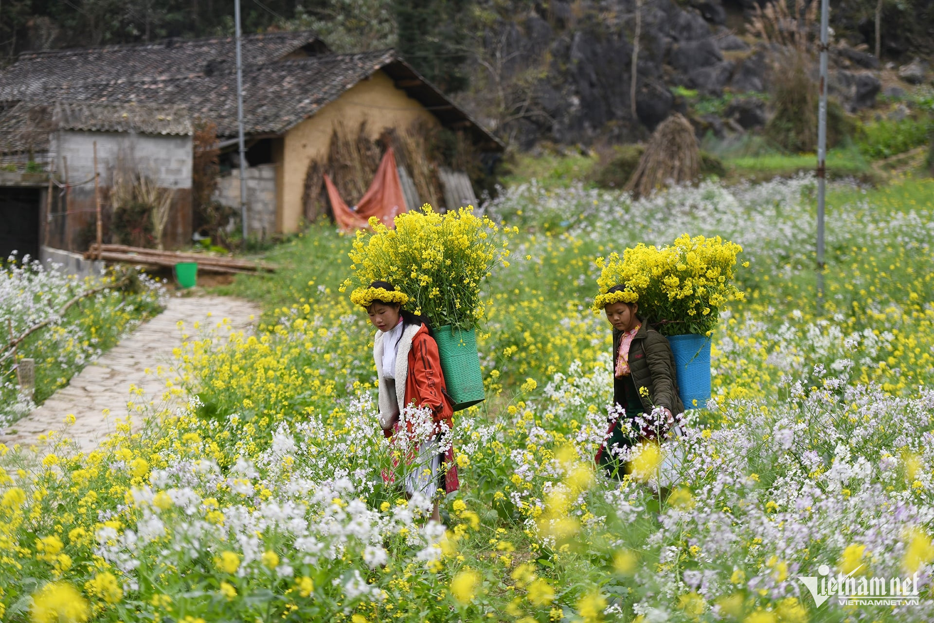 W-12ca17fa 36de 4317 bd1d 6abebd3faf96.jpeg