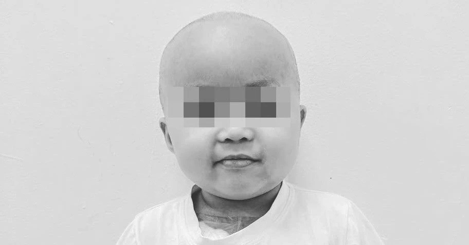 Bản tin trưa 18/4: Bé Bắp qua đời