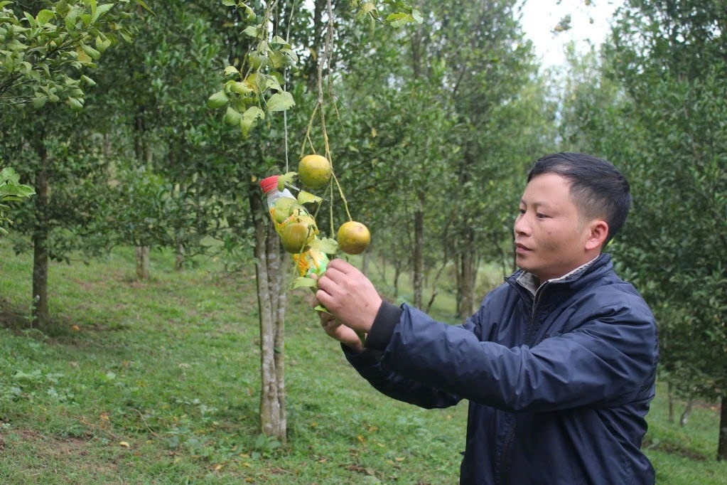Hơn 100 lá đơn xin thoát nghèo ở huyện xa nhất của Thanh Hóa