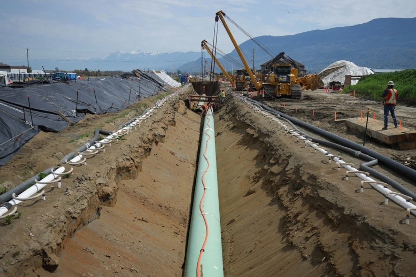 Trung Quốc giảm 90% lượng dầu mua của Mỹ, chuyển sang nhập khẩu từ Canada