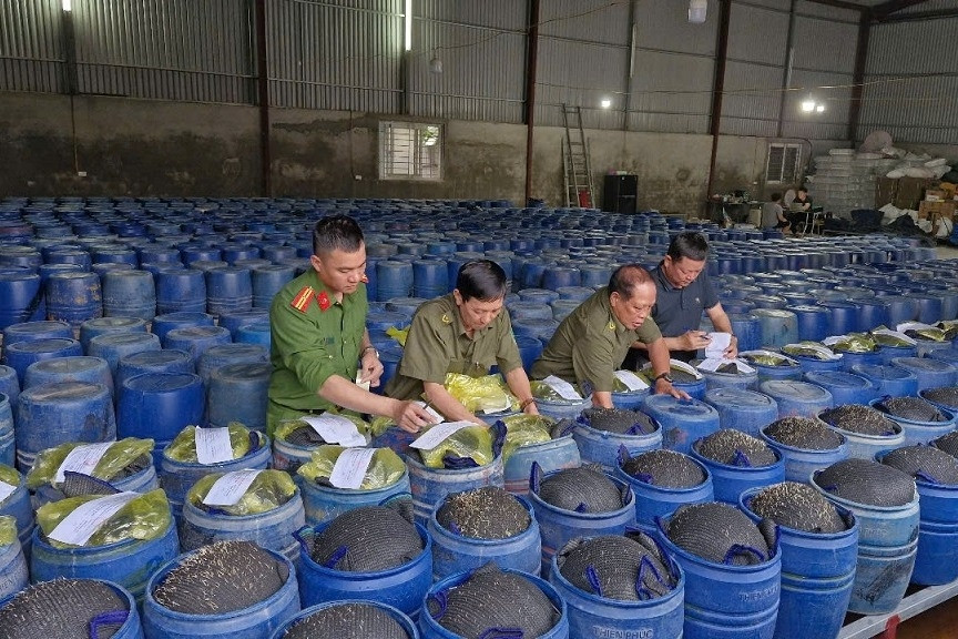 Bắt giữ 4 chủ cơ sở ngâm giá đỗ bằng hóa chất 'nước kẹo', đã bán 3.500 tấn