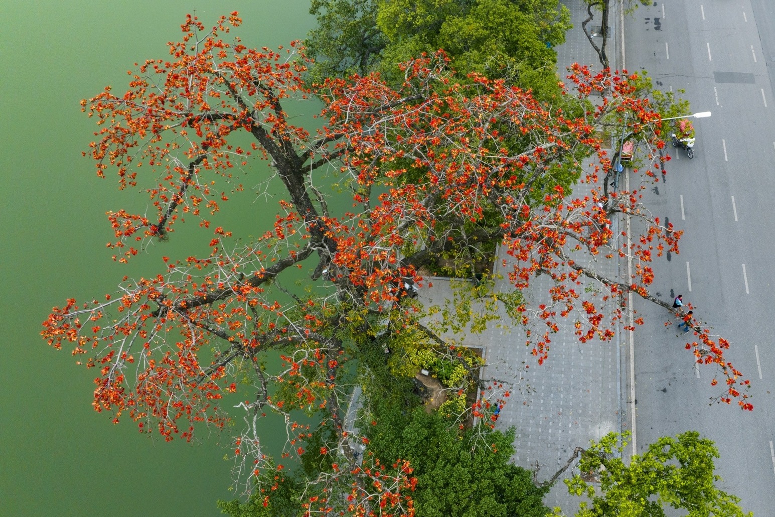 Dự báo thời tiết 3/4/2025: Miền Bắc rét cuối mùa, trưa hửng nắng