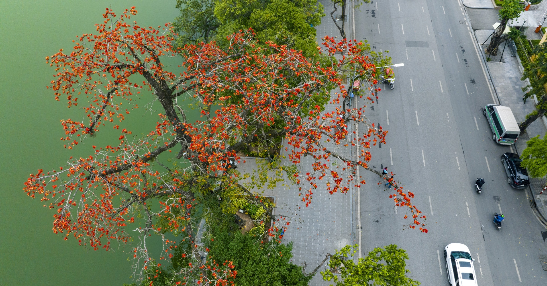 Dự báo thời tiết ngày mai 3/4/2025: Miền Bắc rét cuối mùa, trưa hửng nắng