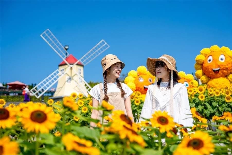 Lạc bước giữa ‘biển vàng’ rực rỡ tại Lễ hội Hoa Mặt trời trên đỉnh Bà Nà