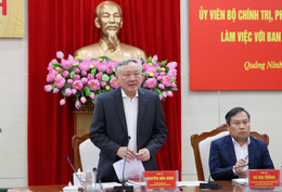 nxt0083 17435787312321306564445.jpg