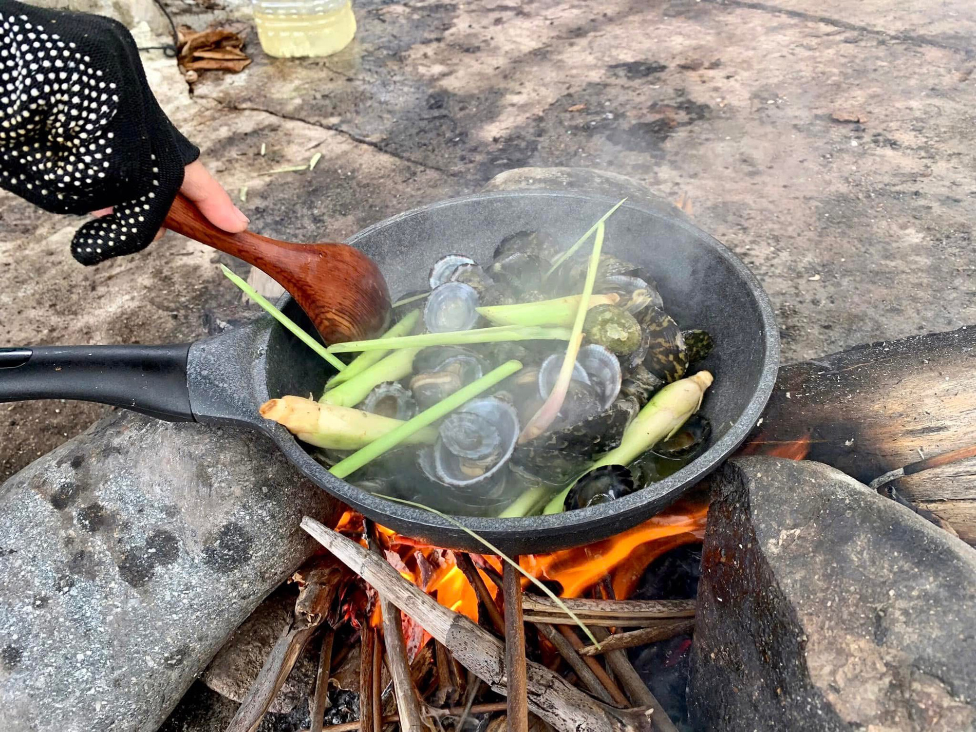 ốc vú dẹt 0.jpg