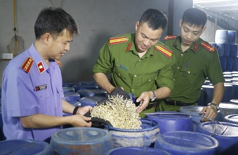 Bản tin trưa 21/4: Rợn người quy trình tăng trọng 3.500 tấn giá đỗ bằng nước kẹo