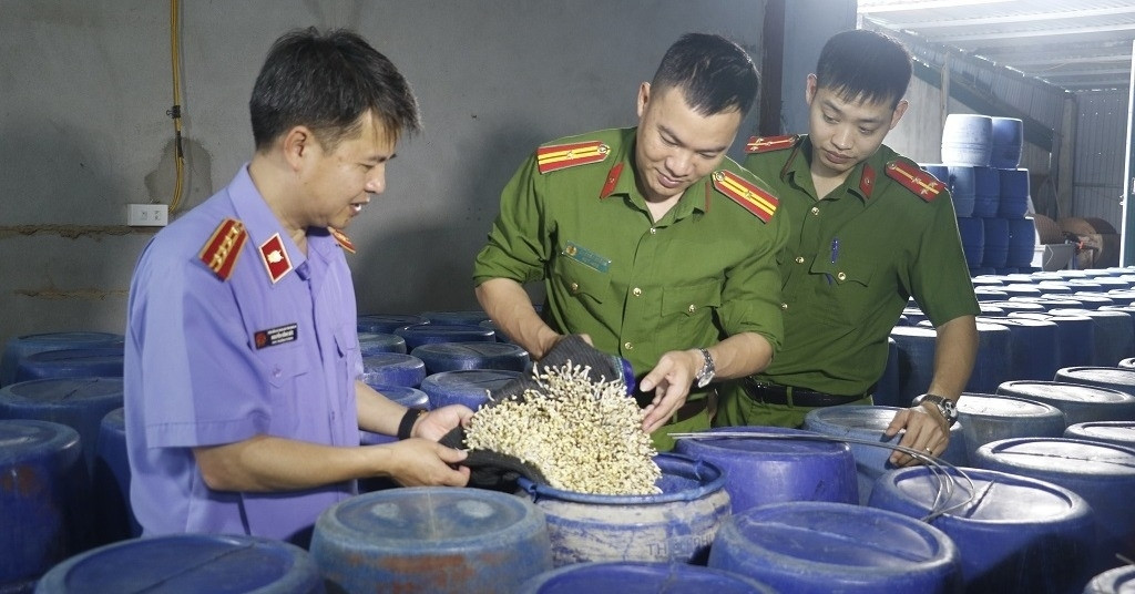 Bản tin trưa 21/4: Rợn người quy trình tăng trọng 3.500 tấn giá đỗ bằng nước kẹo