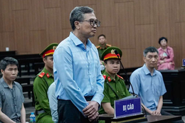 Cựu Thứ trưởng Hoàng Quốc Vượng phủ nhận việc 'có người tác động'