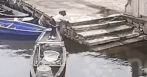 Hai anh em phản ứng cực nhanh, cứu sống bé gái rơi xuống ao nước